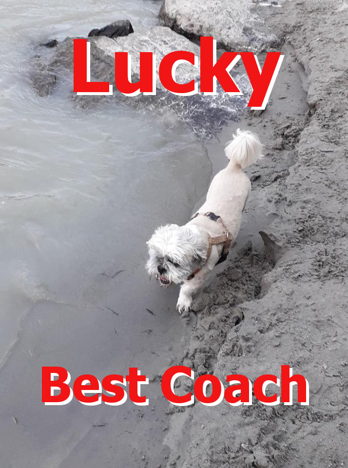 Lucky, Gerdas kleiner Hund