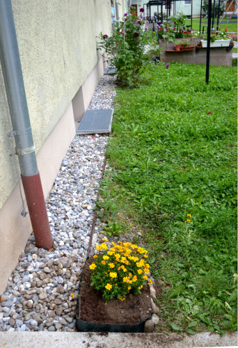 Das neue bunte Beet 3