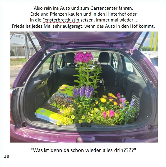 Frieda-Buch Seite 10