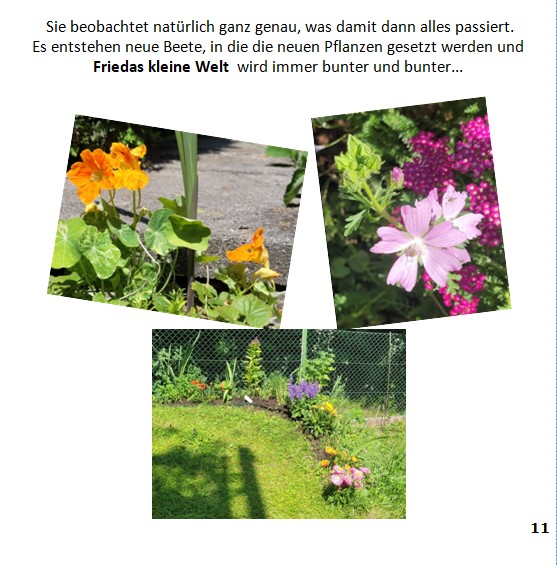 Frieda-Buch Seite 11