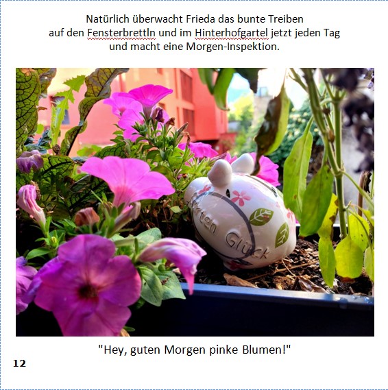 Frieda-Buch Seite 12