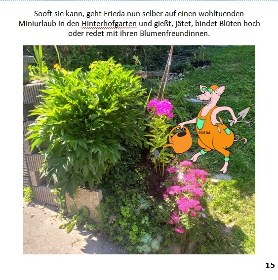 Friefda-Buch Seite 15