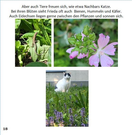 Frieda-Buch Seite 18