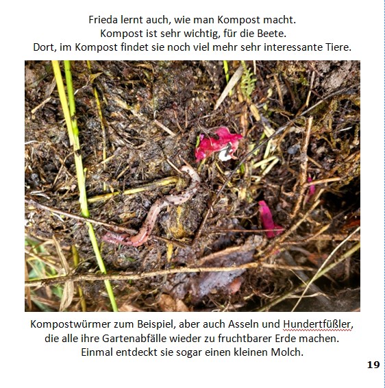 Frieda-Buch Seite 19