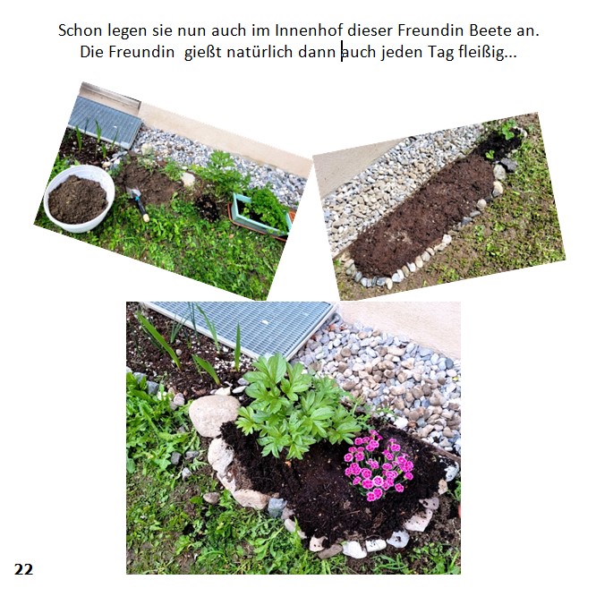 Frieda-Buch Seite 22