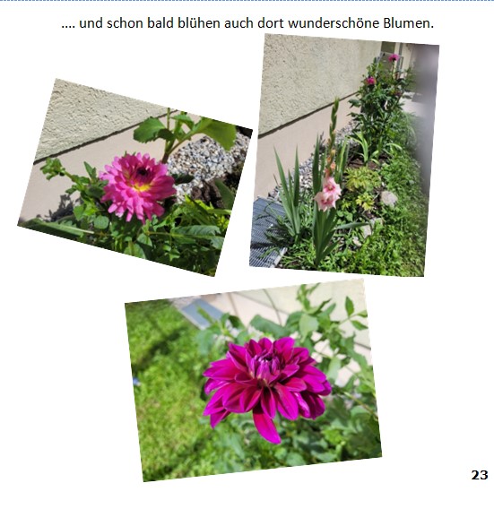 Frieda-Buch Seite 23