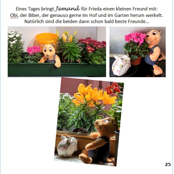 Frieda-Buch Seite 25