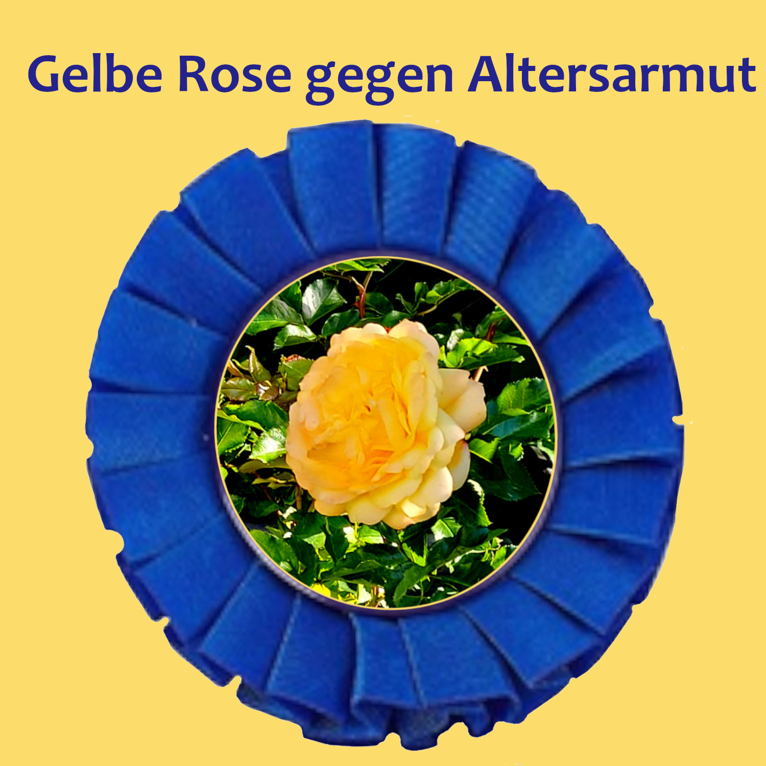 Mag. Monika Himsl 2023